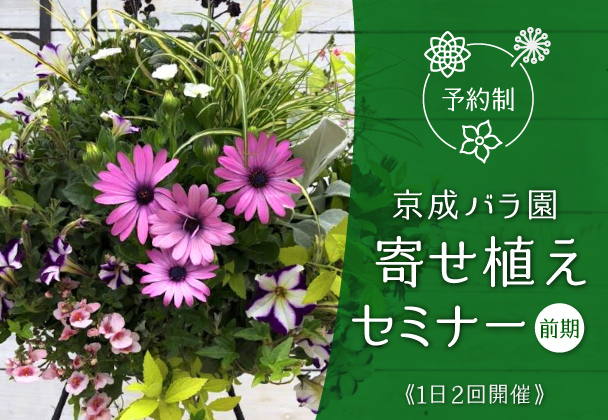 寄せ植えセミナー