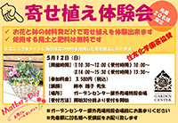 寄せ植え実演