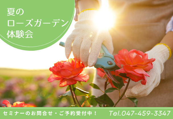 夏のローズガーデン体験会