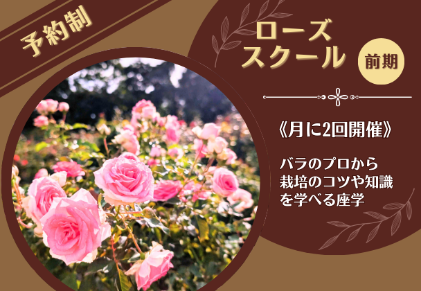 ローズスクール
