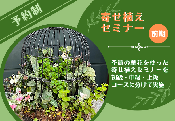 寄せ植えセミナー