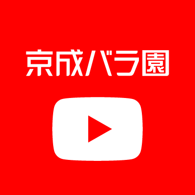 公式YouTubeチャンネル