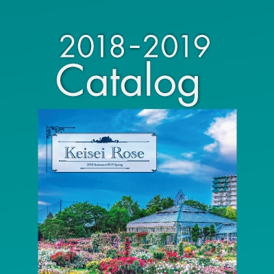 Newカタログ発売