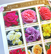 2018秋－2019春のカタログ