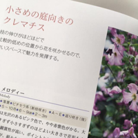 つるで楽しむ素敵な庭4