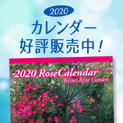 2020年度カレンダー発売