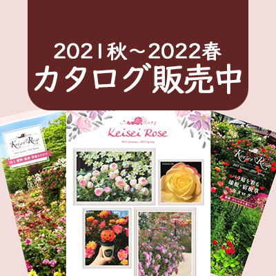 2021秋－2022春のカタログ