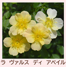 ラ ヴァルス ディ アベイル