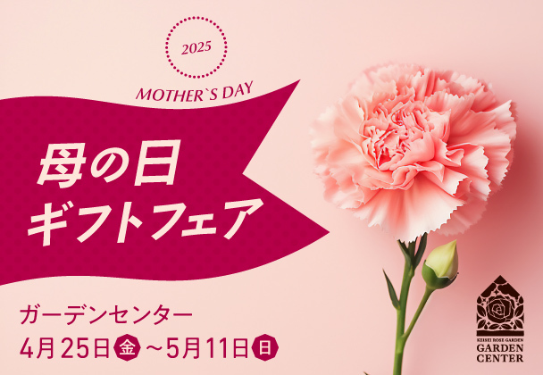 母の日ギフトフェア