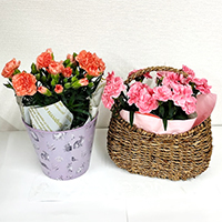 母の日ギフトフェア