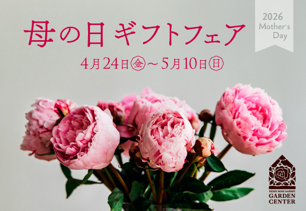 母の日ギフトフェア