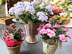 母の日ギフトフェア