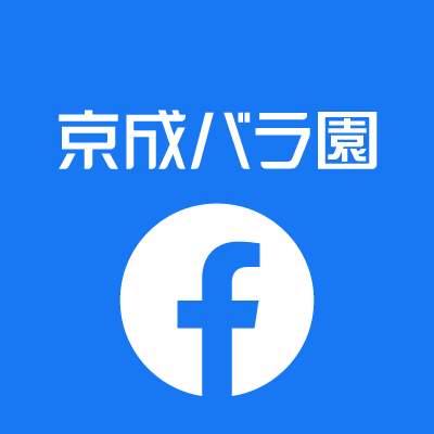 公式フェイスブック