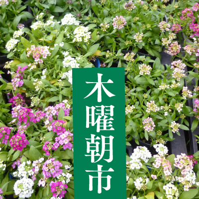 毎週木曜日 木曜朝市