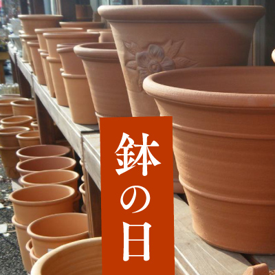 毎月8日 鉢の日