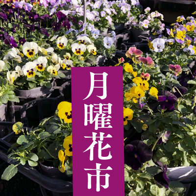 月曜日「月曜花市