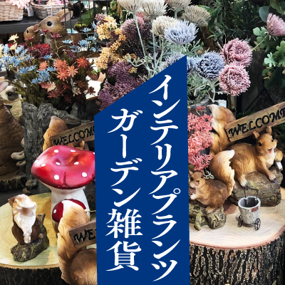毎週土･日曜日 インテリアプランツ＆ガーデン雑貨