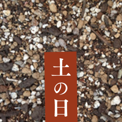 毎週土曜日 土の日