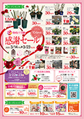 チラシ表