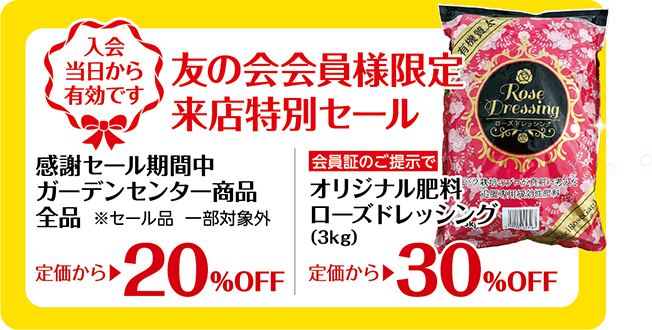 ミニワゴンセール