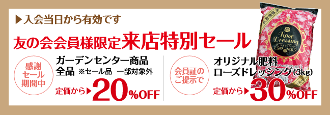 タイムセール