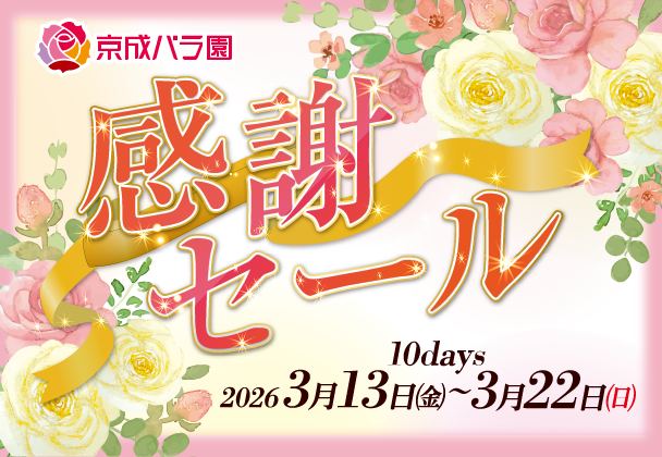 京成バラ園感謝セール