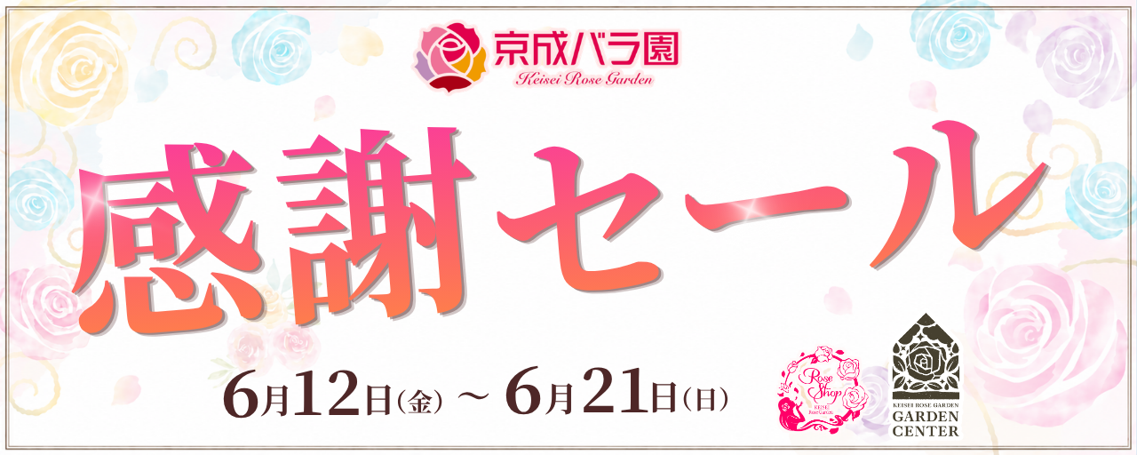 京成バラ園感謝セール
