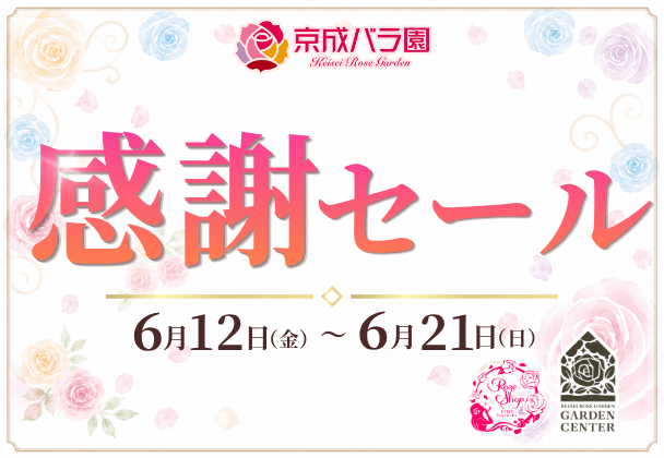 京成バラ園感謝セール
