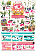 チラシ表