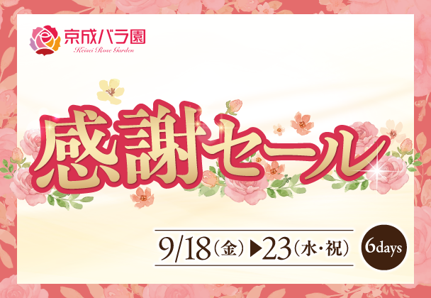 京成バラ園感謝セール