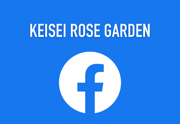 Official Facebook