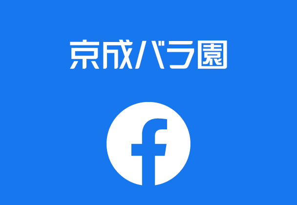 公式フェイスブック