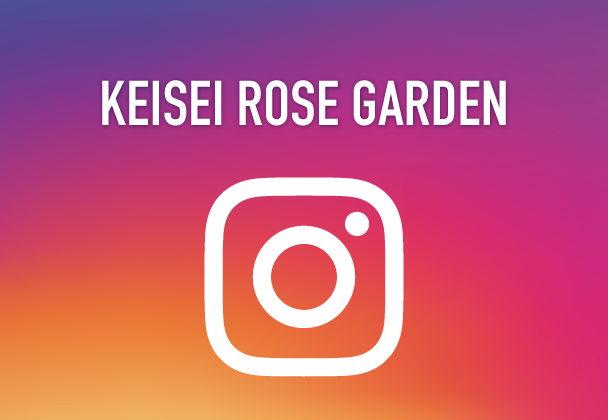 Official Instagram