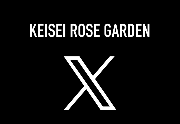Official X (Twitter)