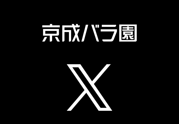 公式X（ツイッター）