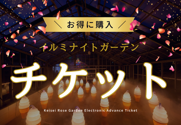 お得なチケット販売