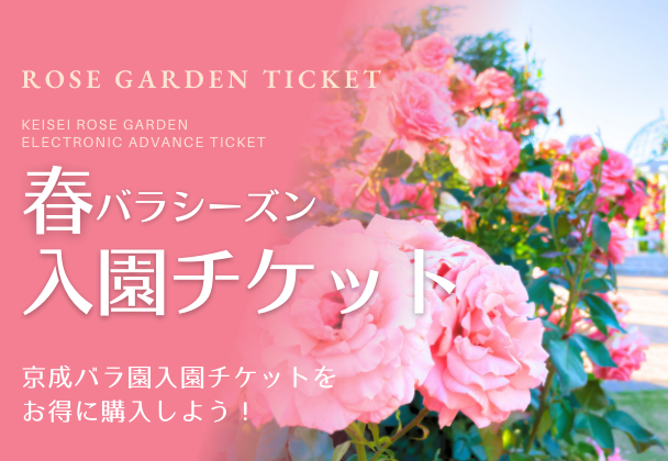 お得なチケット販売