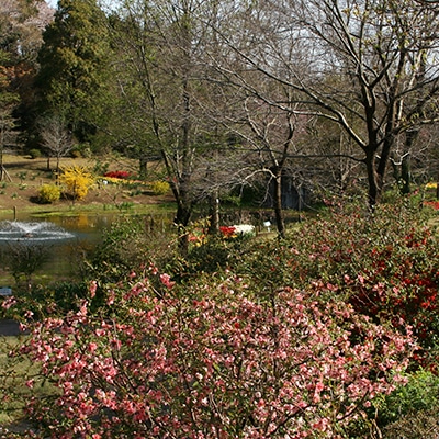 春の自然風庭園3