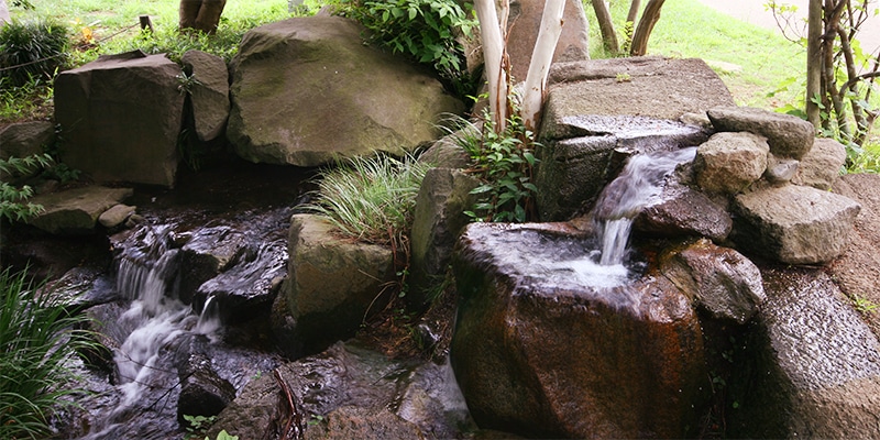 秋・冬の自然風庭園1