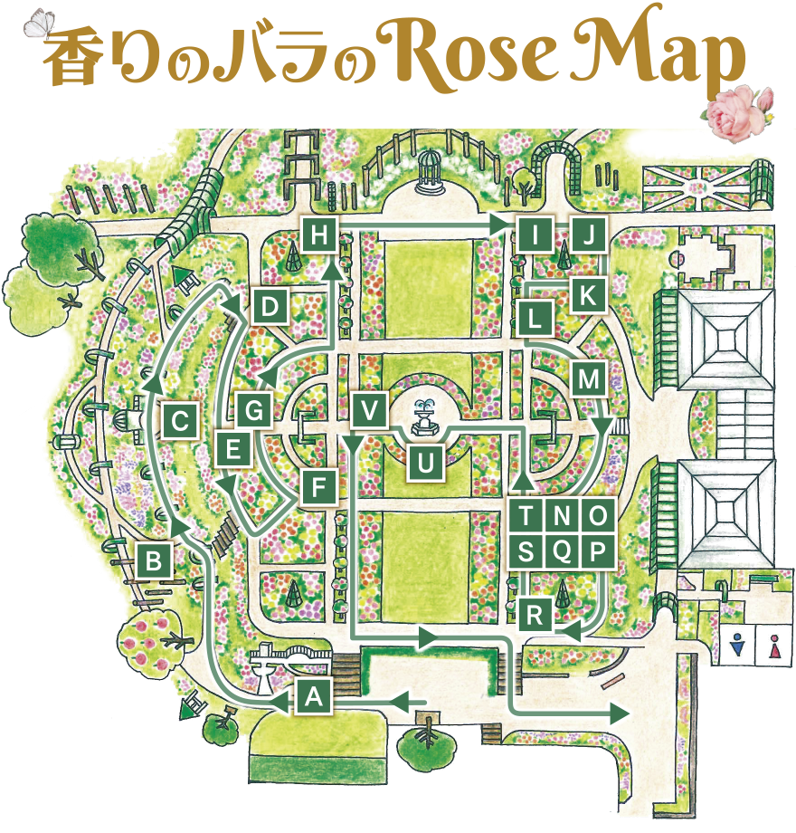 香りのバラのRoseMap