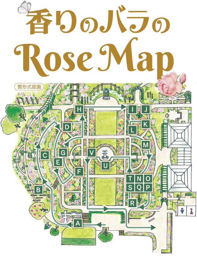 香りのバラのRoseMap