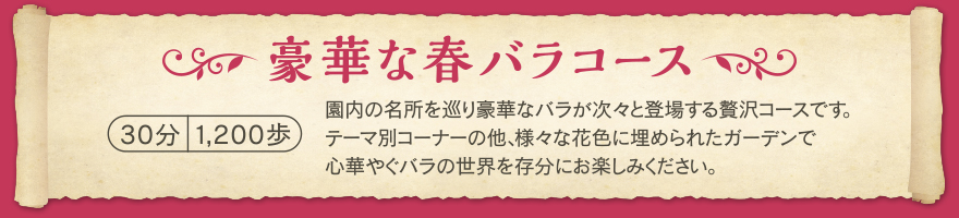 豪華な春バラコース