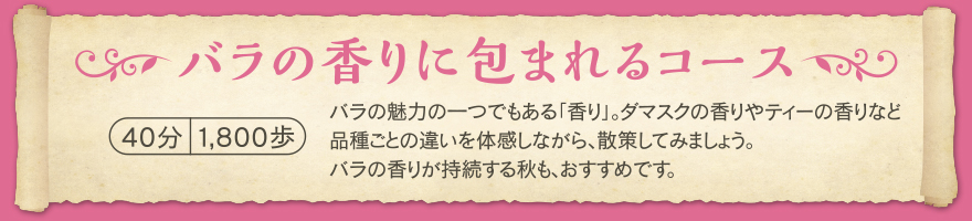 バラの香りに包まれるコース