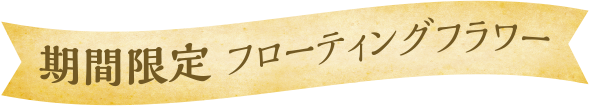 期間限定 フローティングフラワー