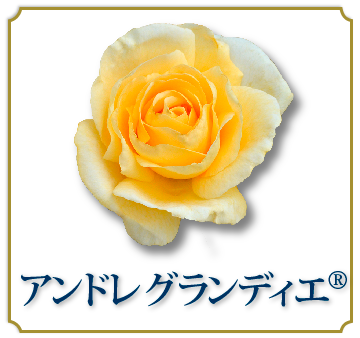 アンドレ　グランディエ®