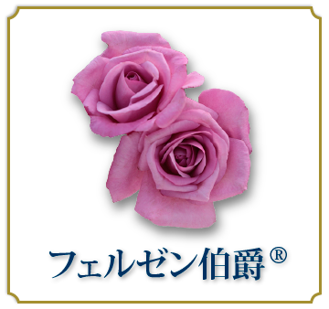 フェルゼン伯爵®