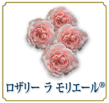 ロザリー　ラ　モリエール®